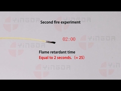 Flame retardant experiment
