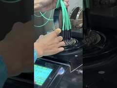 12 Serat OM3 10Gig MTP Kabel MPO, Kabel Trunk MPO - MPO 12 F.O. OM3 15 Mts