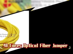 48 Inti Fiber Optik Jumper Distribusi Patch Cord Fanout Dengan LC APC