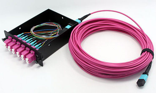 Beli Fiber Optic MPO MTP Kabel 8 Fiber OM4 LSZH Jacket untuk Koneksi Jaringan Pusat Data pembuatan online