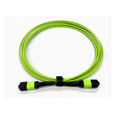 Beli Densitas Tinggi 12 Core Multimode OM5 100G Fiber Optic MPO Untuk MPO Kabel Tipe B Untuk Sistem Komunikasi Fiber Optic pembuatan online