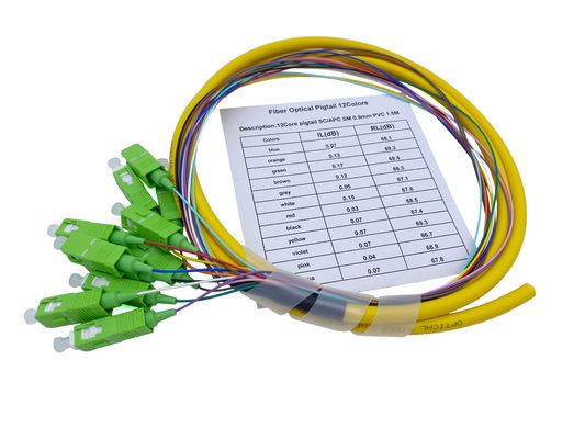 Beli 12 Cores FTTH Fiber Optic Pigtail SC APC G652D PVC 900um 1.5Mts Kuning pembuatan online