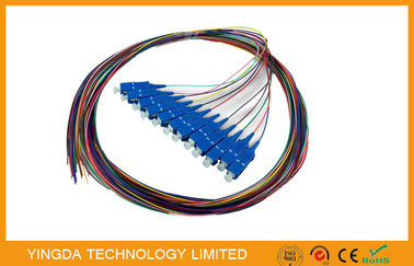 Beli SC / UPC SC / kabel PC Multi Inti Fiber Optic Pigtail 12 Inti 0.9mm pembuatan online