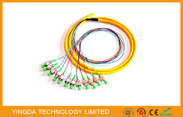 Beli Patch Panel APC / FC Fiber Optic Pigtail / kabel Patch 8 Cores 12 Cores Hijau Buffer ketat pembuatan online