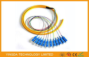 Beli Industri 12 Inti SC Fiber Optic Pigtail Breakout, FTTH SM LSZH SC Pigtail Corning Fiber G652D pembuatan online