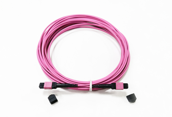 Beli 12 Fiber MPO Female Connector Patch Cord OM4 50/125um Elite Loss 0.35dB Ungu Polaritas A pembuatan online
