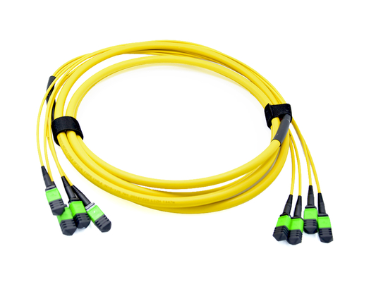 Beli USCONEC 48 Fibers Optical MTP Female Truck Cable Assembly Patch Cord untuk Pusat Data pembuatan online